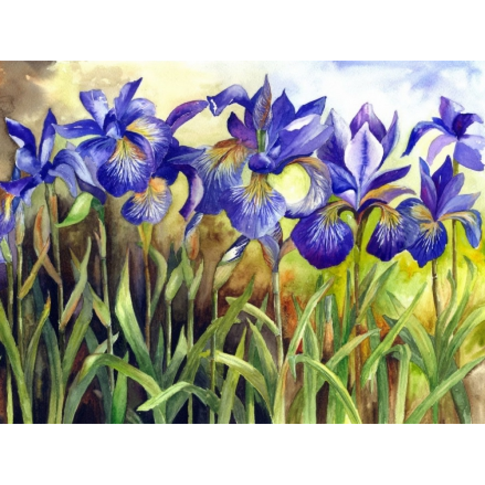 Алмазна мозаїка “Іриси“ 40*30см